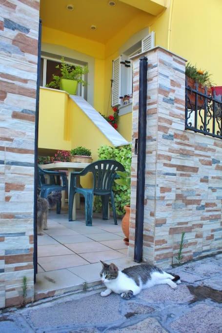 Emmas House In Pythagoreio Samos Town Buitenkant foto